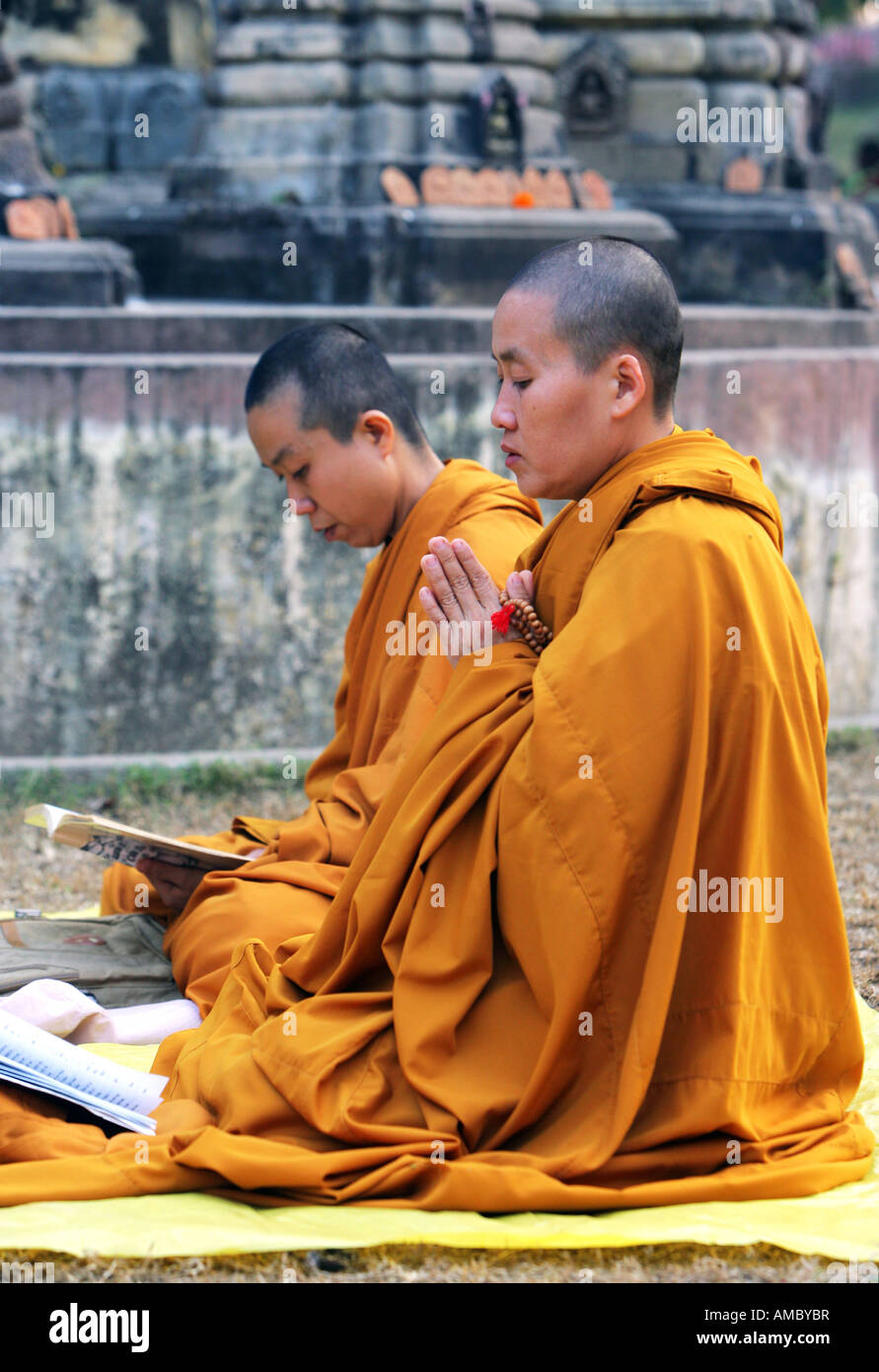 L'Inde, Bodhgaya : moniales bouddhistes priant dans le jardin de Temple de la Mahabodhi, le lieu de l'Eveil du Bouddha Banque D'Images