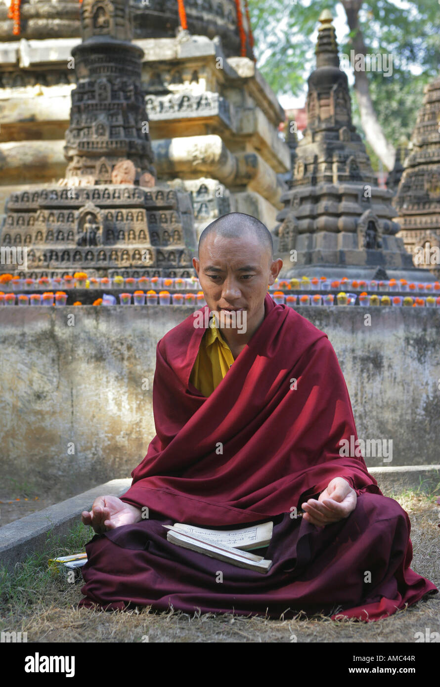 L'Inde, Bodhgaya : moine priant dans le jardin de Temple de la Mahabodhi, le lieu de l'Eveil du Bouddha Banque D'Images