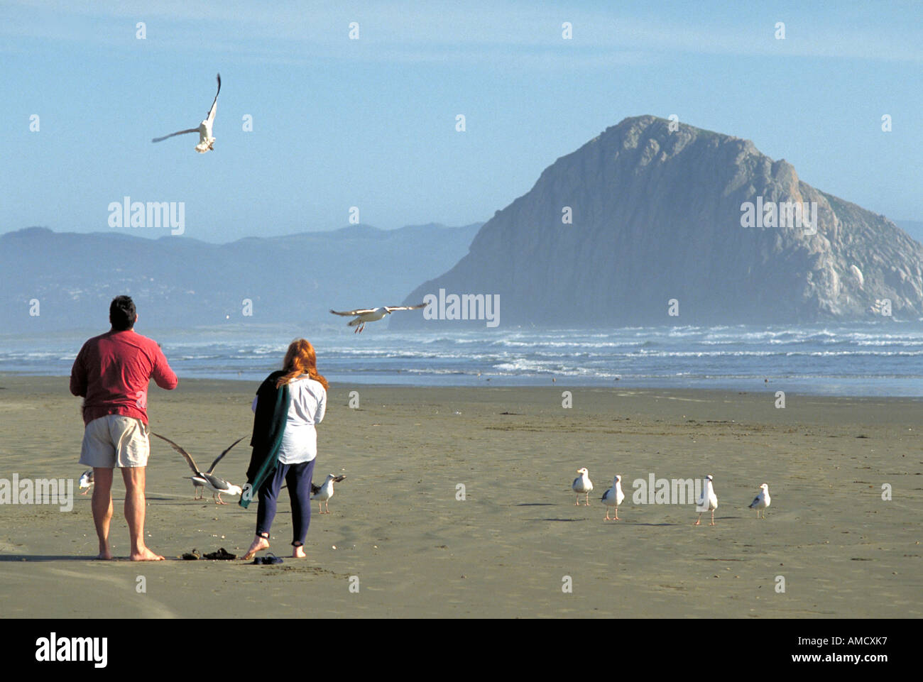 1199 Elk244 Californie Morro Bay Morro Strand State Beach visiteurs nourrir les mouettes Banque D'Images
