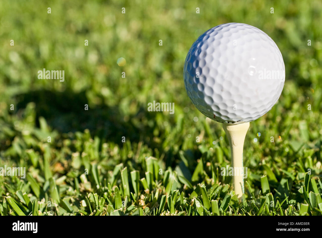 Golf ball on a tee tôt le matin jette une ombre profonde de lui-même Banque D'Images