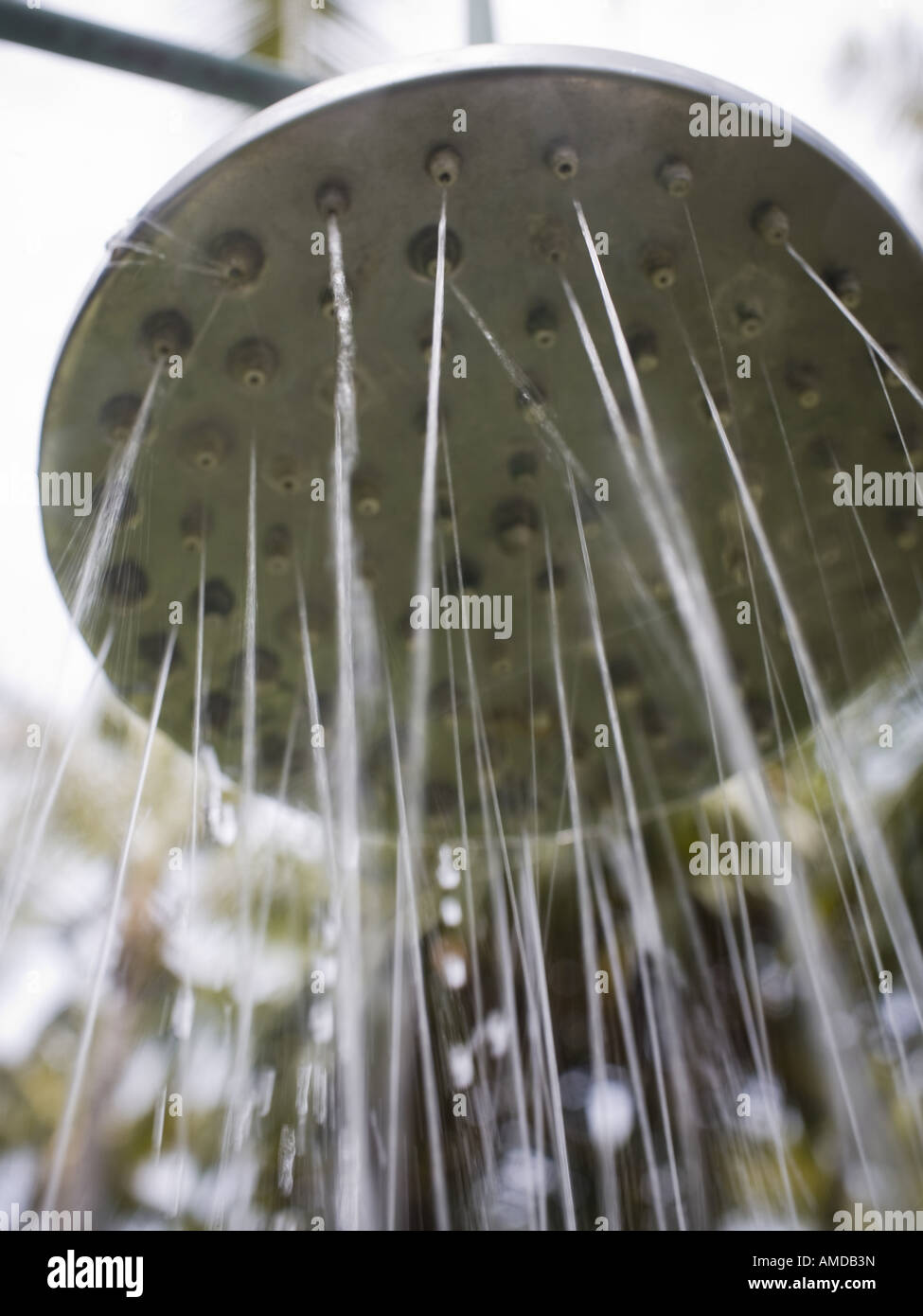 Détail de la tête de douche en plein air Banque D'Images