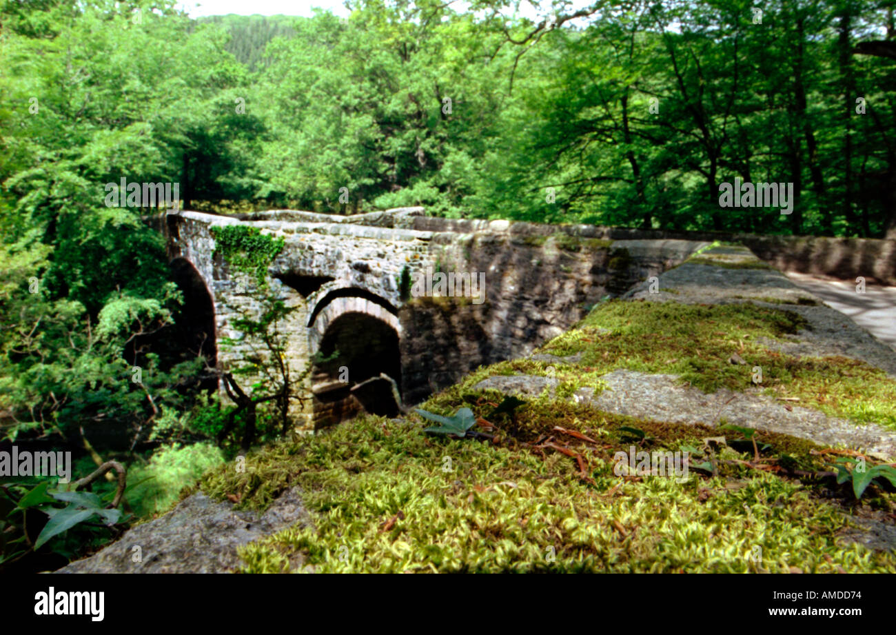 Un pont de pierre sur une rivière dans le devon Banque D'Images