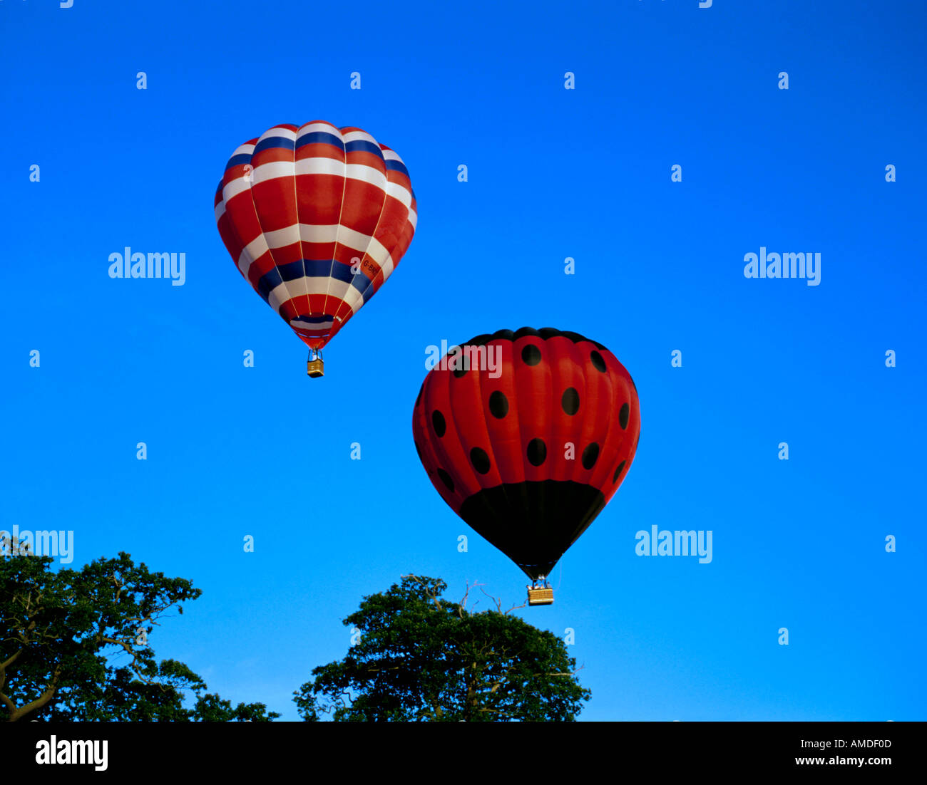 Des ballons à air chaud en vol dans un ciel bleu clair. Banque D'Images
