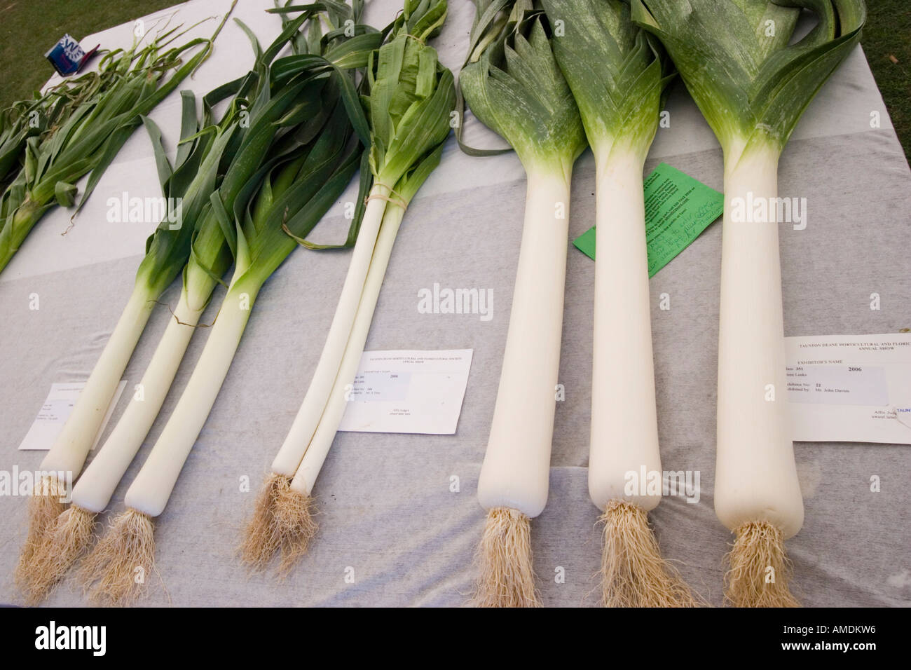 Les fruits et légumes ont exposé au salon floral de Taunton Banque D'Images