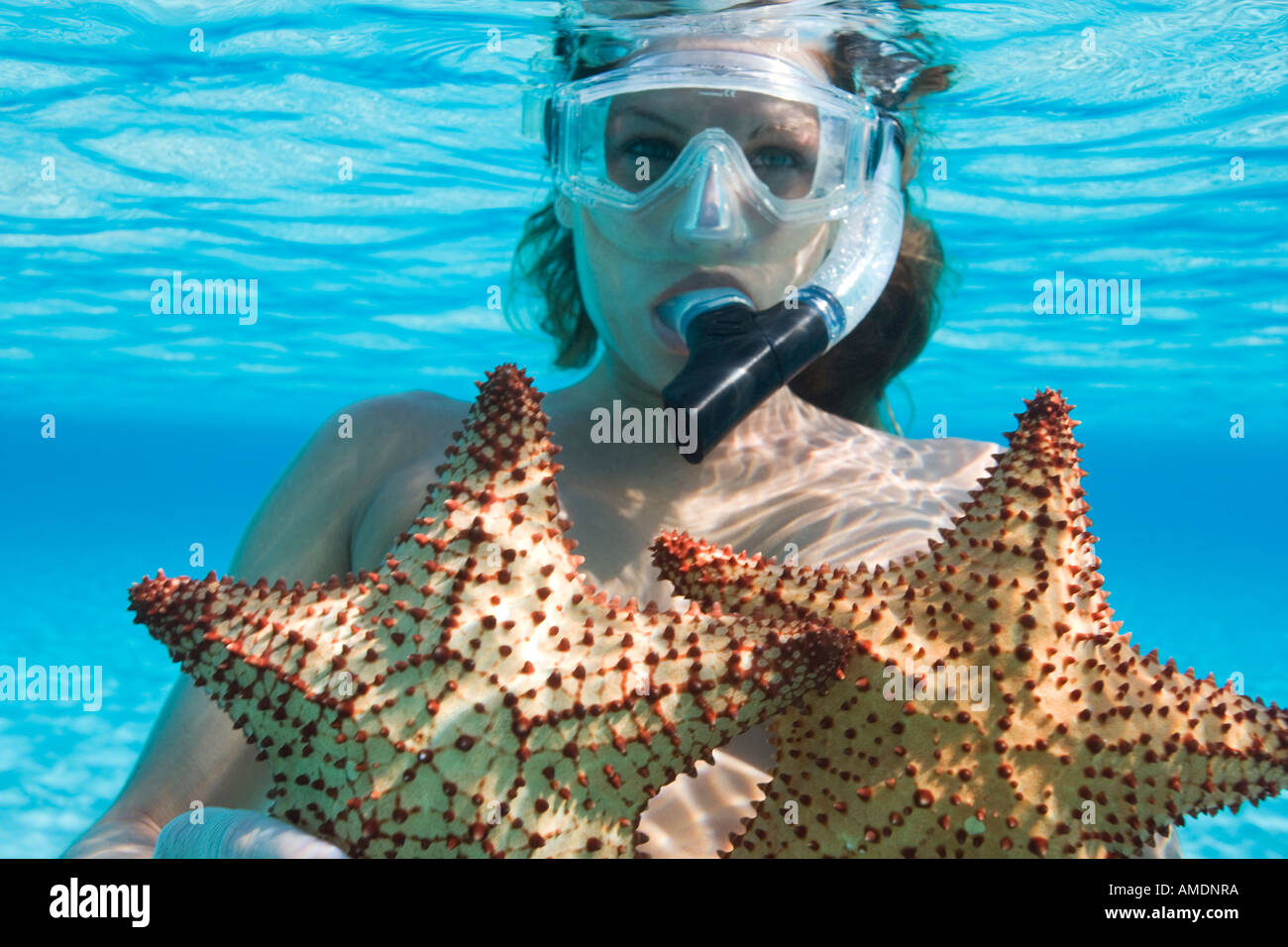 Jeune femme avec des sous-marins de l'étoile de mer Playa Palencar côté ouest Cozumel mexique Banque D'Images