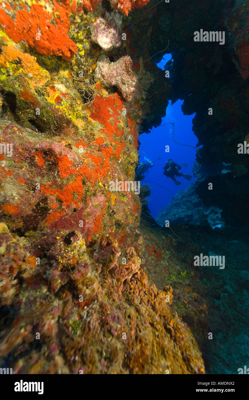 Photographe sous-marin dans une swimthru sur mur Neptunes divesite Grand Cayman Banque D'Images