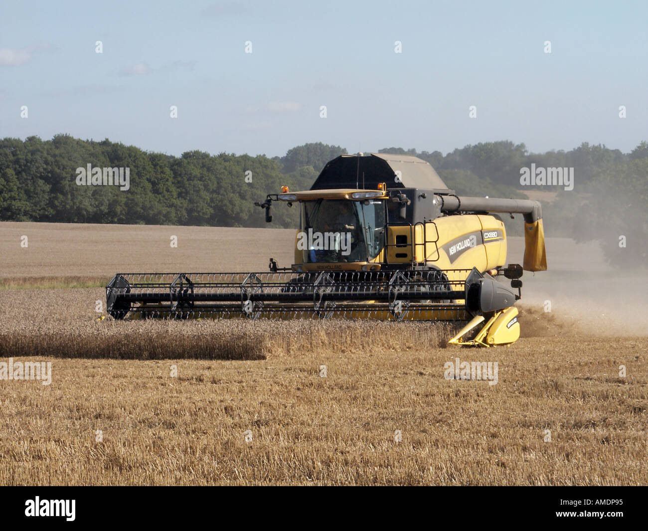 Gros plan vue latérale de face de la marque New Holland CX880 de moissonneuse-batteuse travaillant dans des terres agricoles rurales poussiéreuses et sèches à Mountnessing Brentwood, Essex, Angleterre, Royaume-Uni Banque D'Images