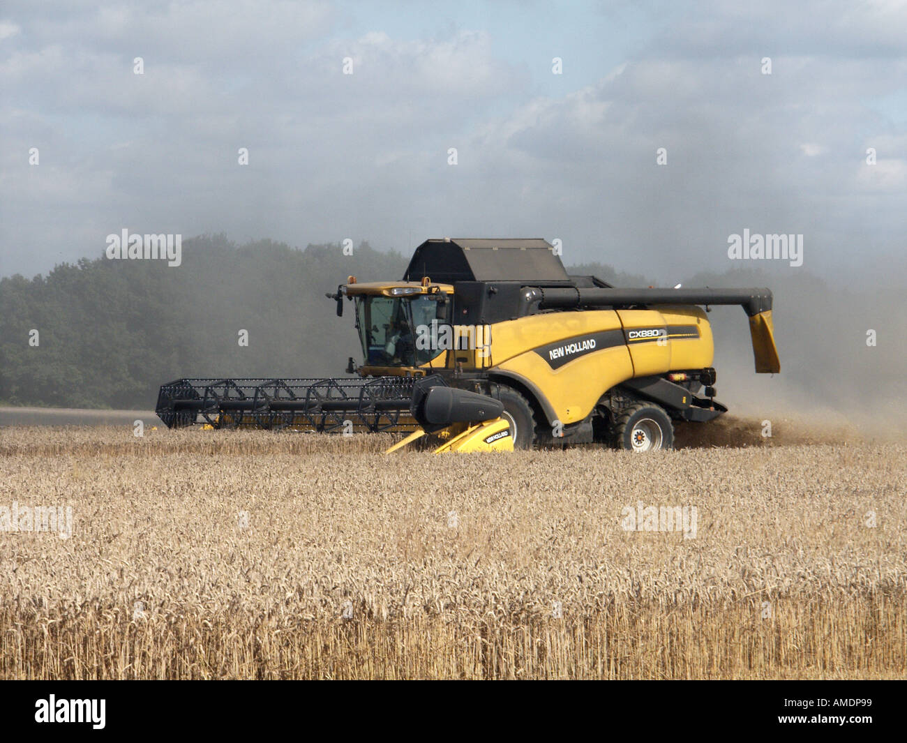 Gros plan vue latérale avant de la moissonneuse-batteuse New Holland CX880 au travail dans des terres agricoles sèches et poussiéreuses à Mountnessing Brentwood, Essex, Angleterre Banque D'Images