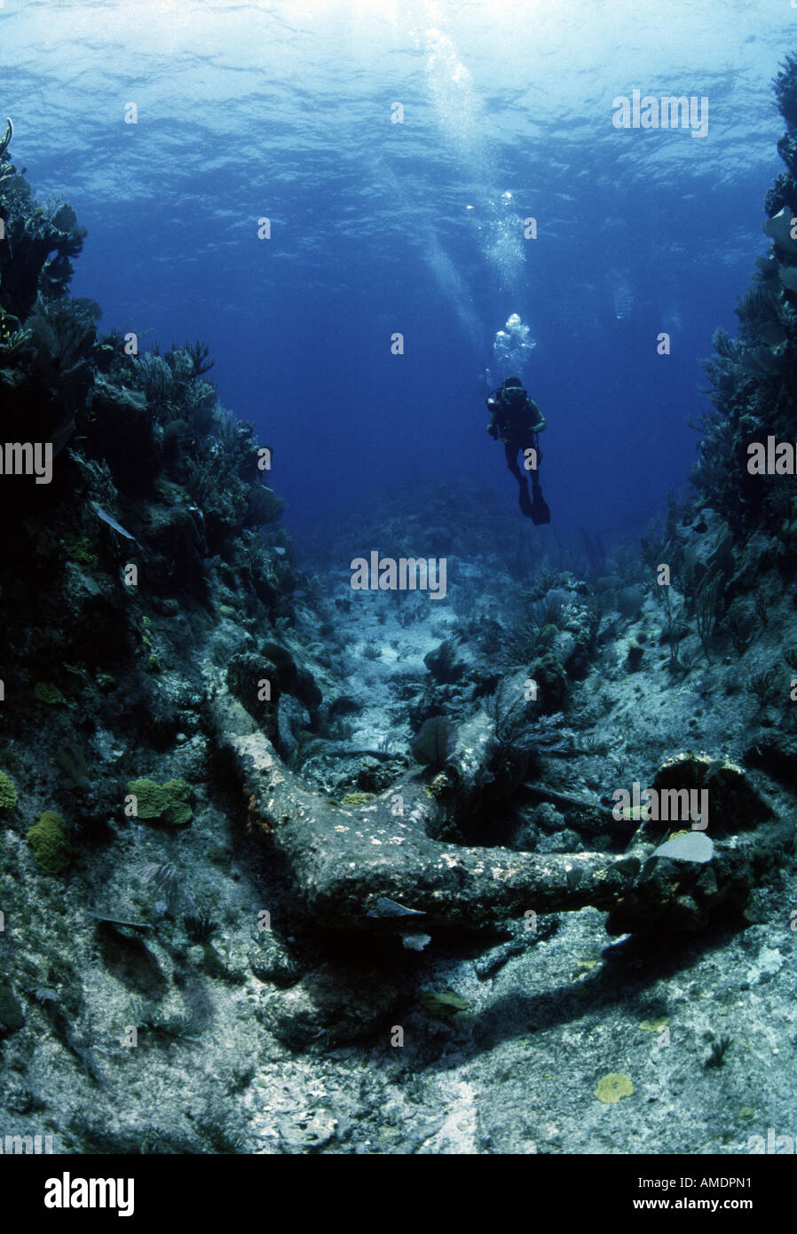 I. Turks Caicos Salt Cay épave de sous-marin HMS Endymion ancre avec diver en arrière-plan Banque D'Images
