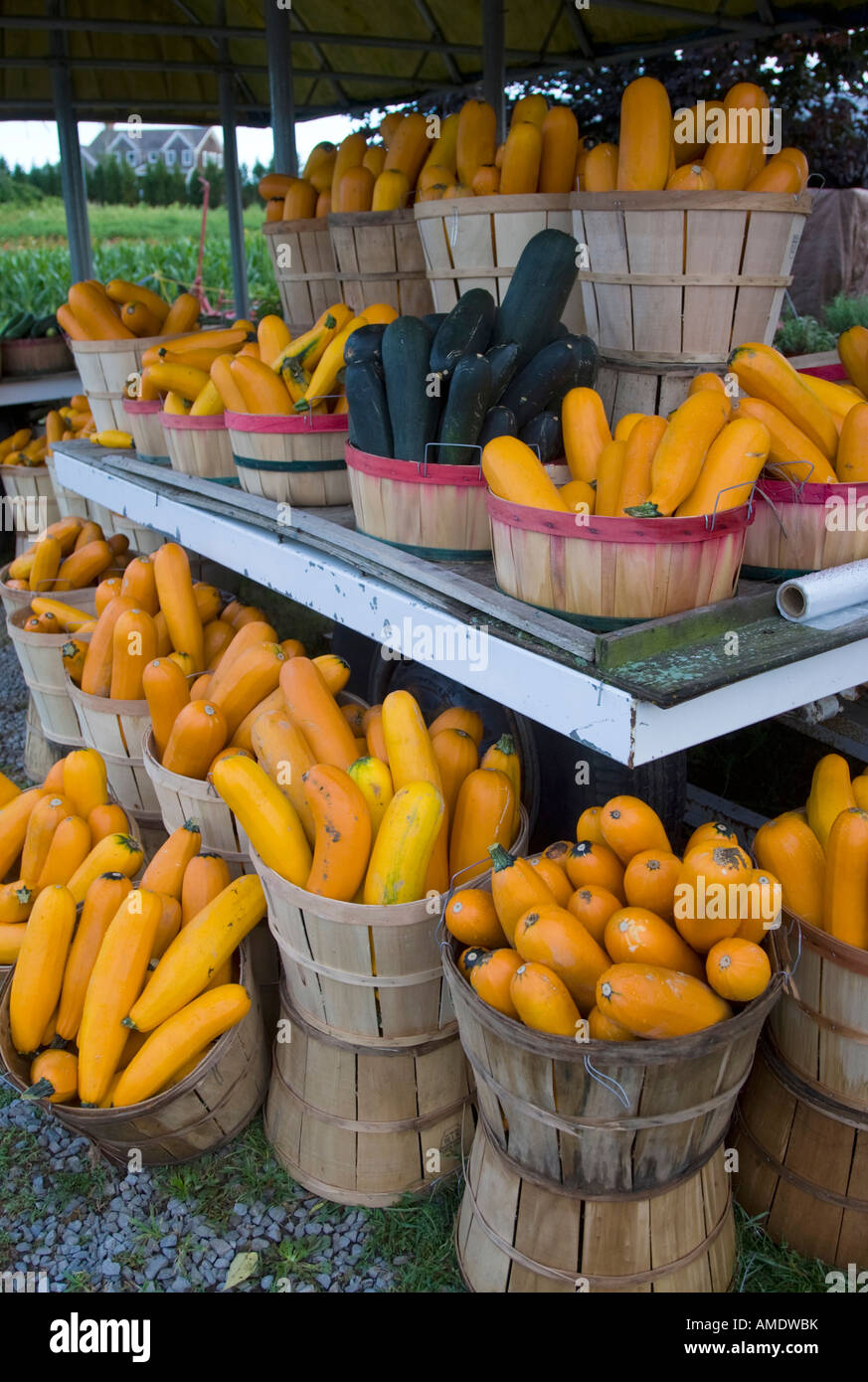 Produire pour la vente à un farmstand Banque D'Images