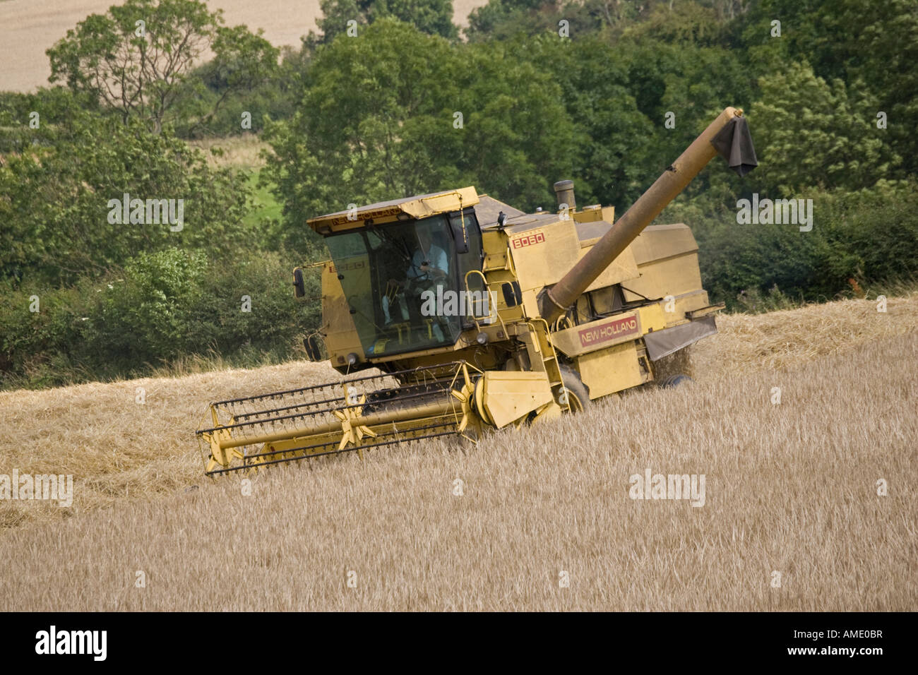 Moissonneuse-batteuse New Holland jaune Cotswolds travail UK Banque D'Images