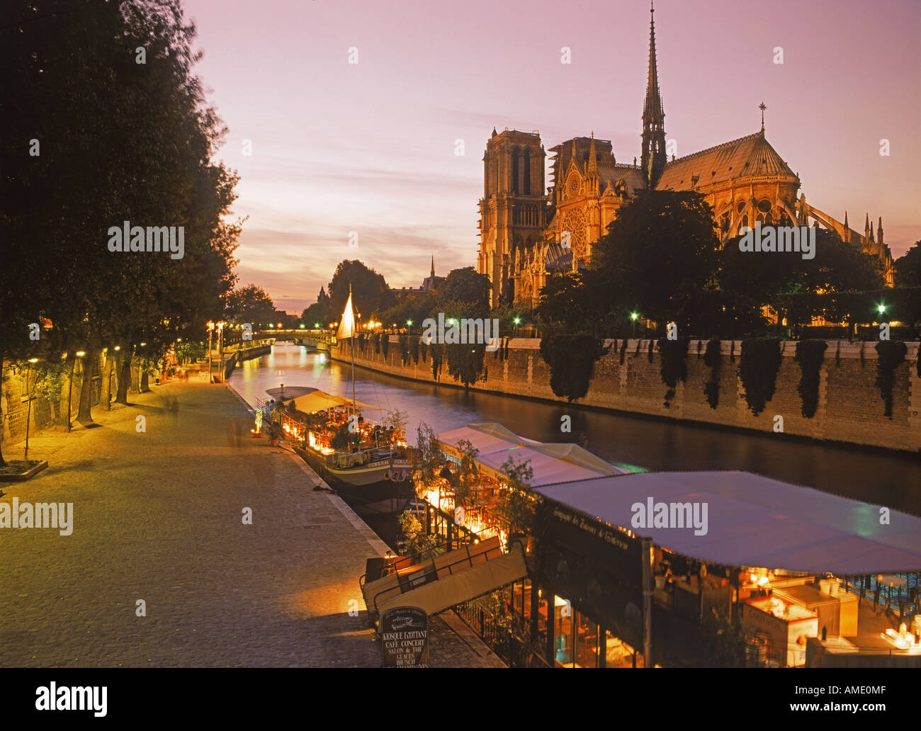 Bateaux Restaurant sur la Seine à Notre Dame au crépuscule Banque D'Images