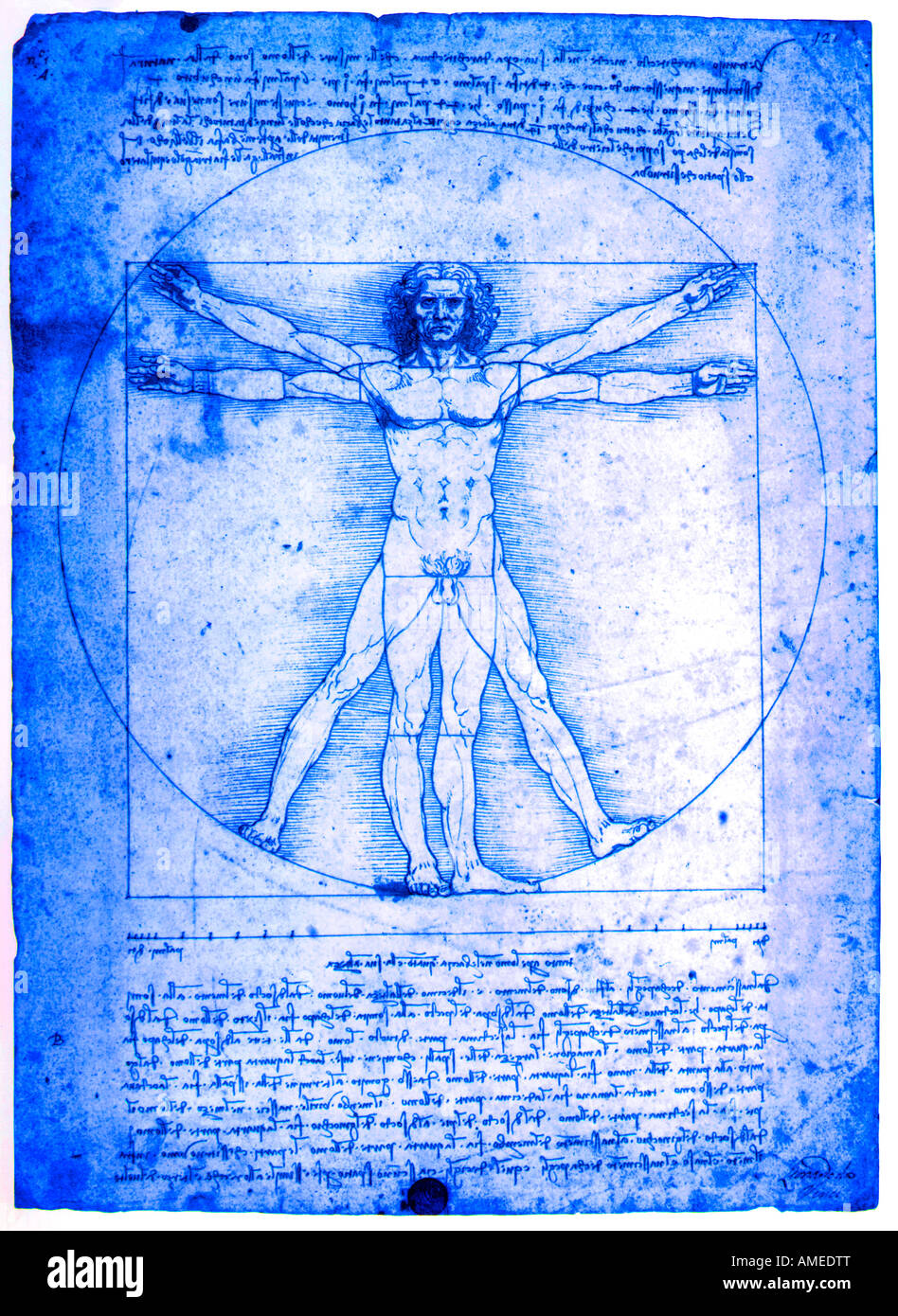 1490 Homme de Vitruve par Leonardo da Vinci 1452-1519 plume et encre Banque D'Images