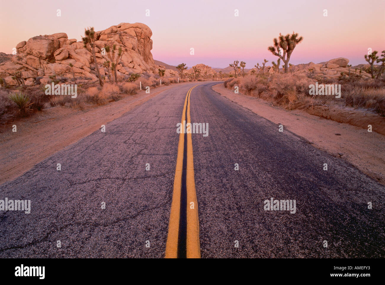 Road désert de Mojave en Californie, USA Banque D'Images