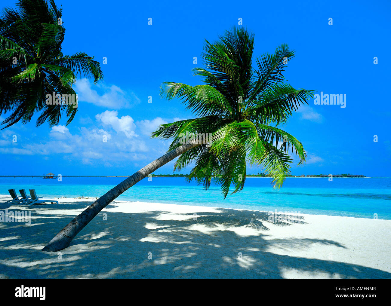 Plage de sable tropical avec des cocotiers et des chaises de plage Banque D'Images