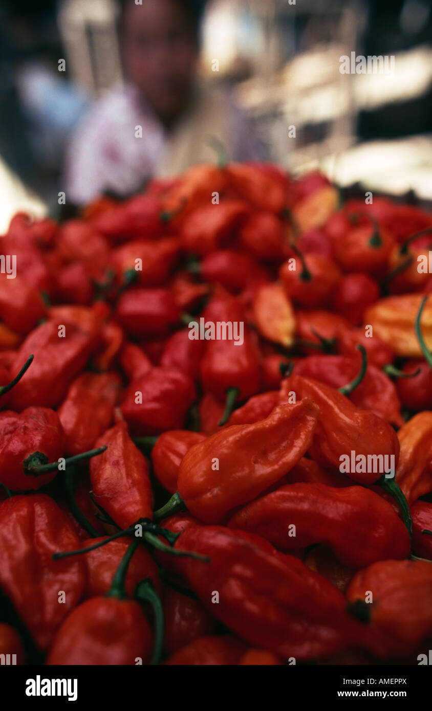 Naga Jolokia chilis dans Kohima, Nagaland Kohima, du marché, de l'Inde. Banque D'Images