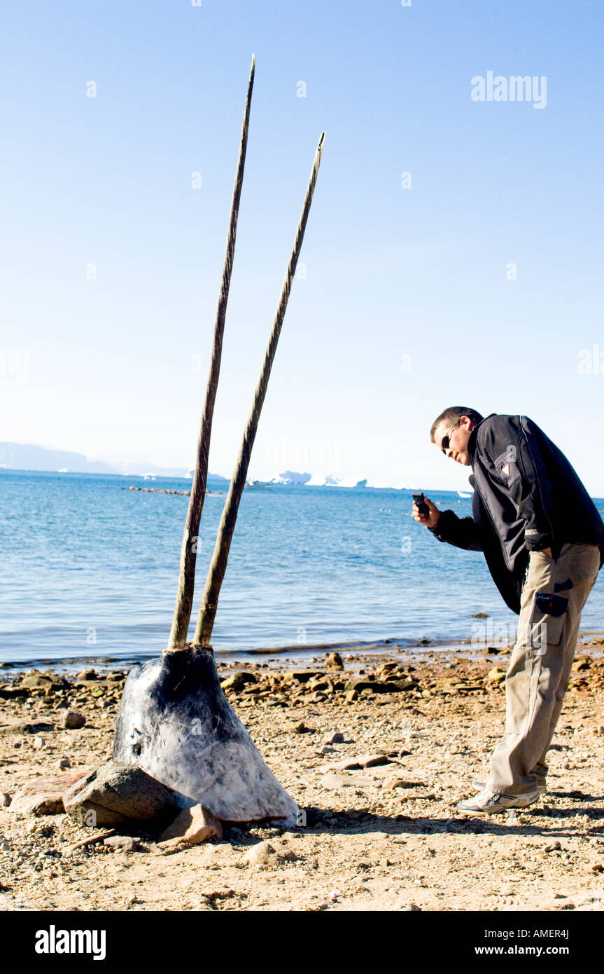 Narwhal hunting Banque de photographies et d'images à haute résolution -  Alamy