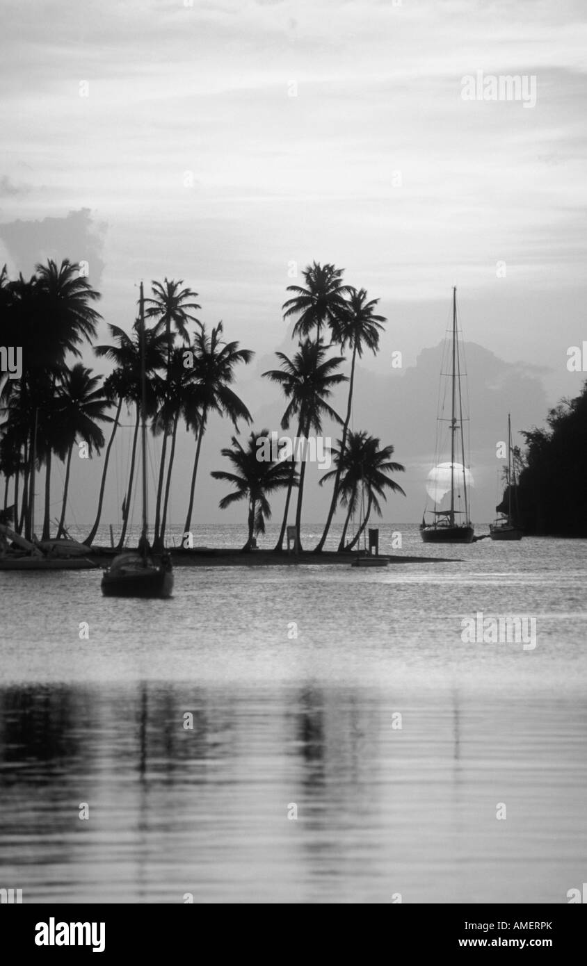 Coucher du soleil avec palmier sur Marigot Bay, Sainte-Lucie, West Indies Banque D'Images