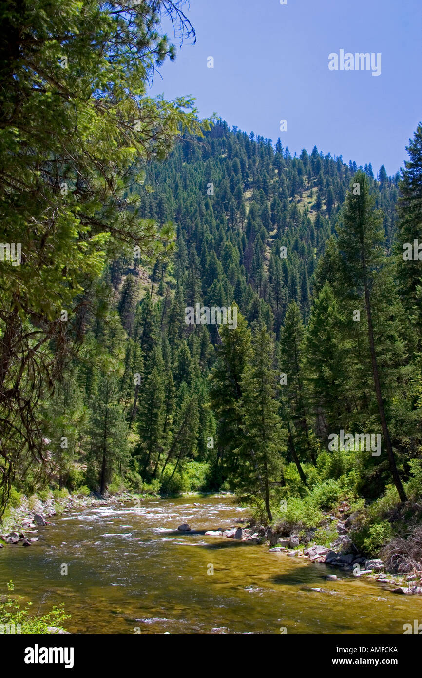 La fourche sud de la rivière Salmon près de Yellow Pine, Idaho. Banque D'Images