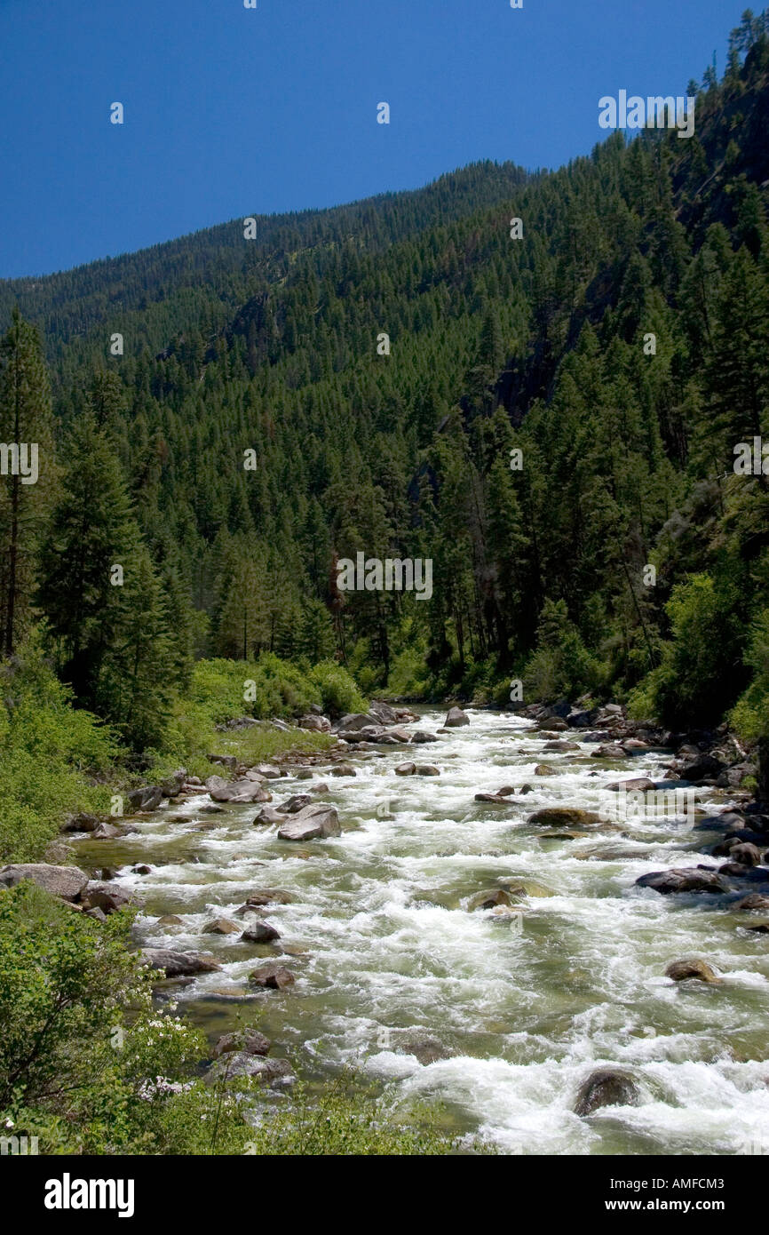 La fourche est de la fourche sud de la rivière Salmon près de Yellow Pine, Idaho. Banque D'Images