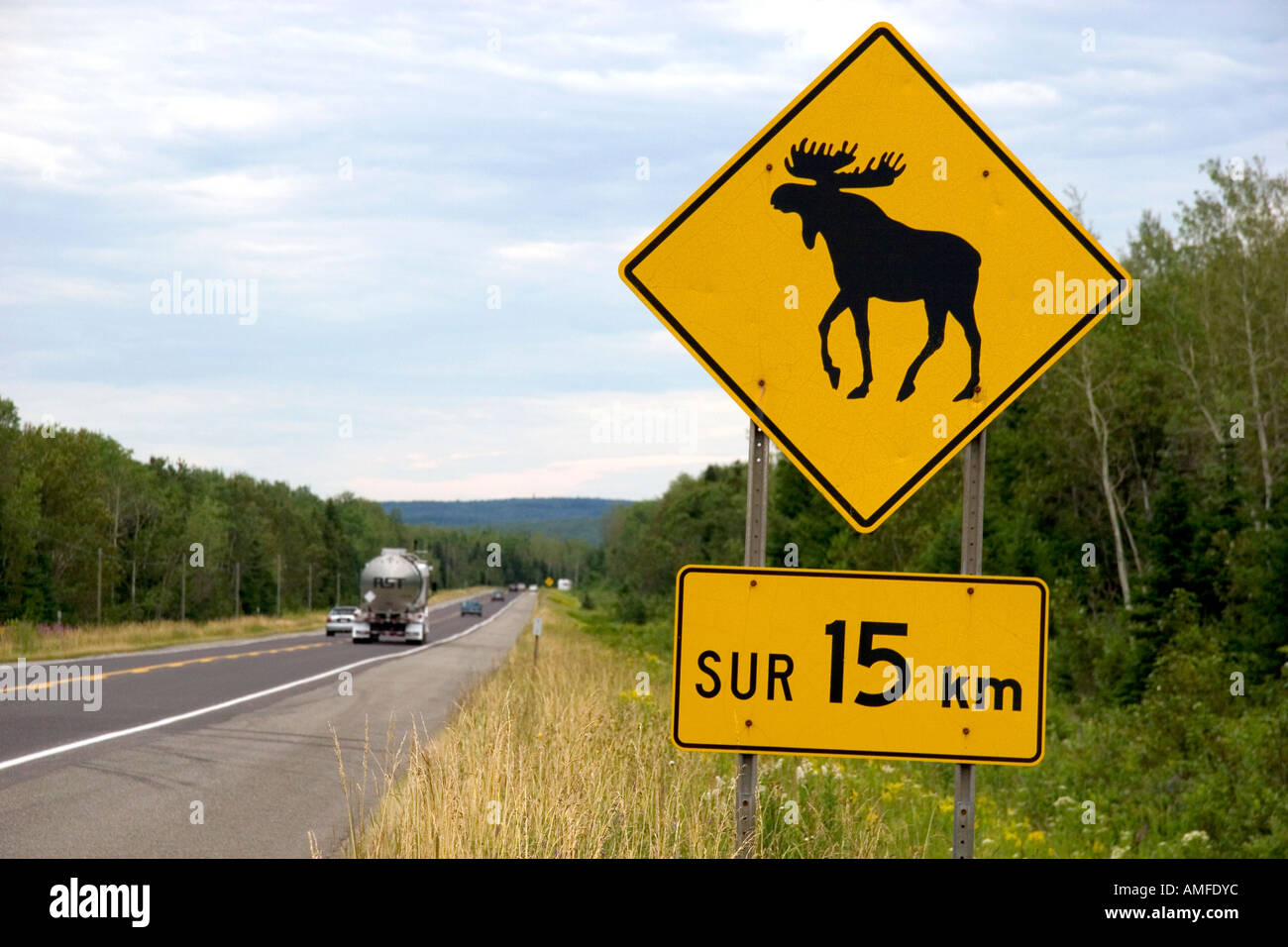 Moose crossing road sign le long de la route 189 dans le sud-est de Québec, Canada. Banque D'Images