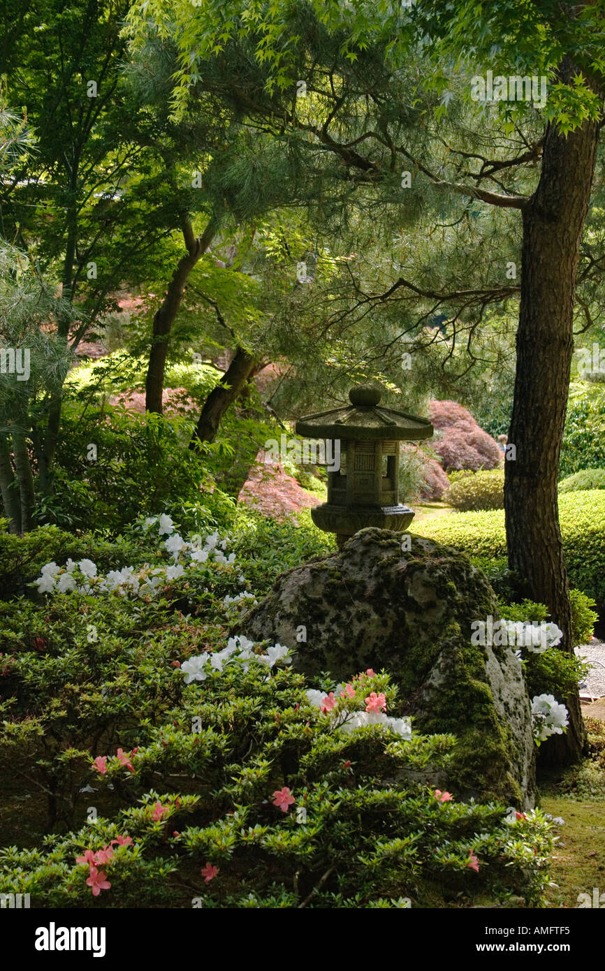 Un blanc de la lanterne de pierre d'azalées fleurit au printemps à Portland, Oregon PORTLAND Japanese garden Banque D'Images