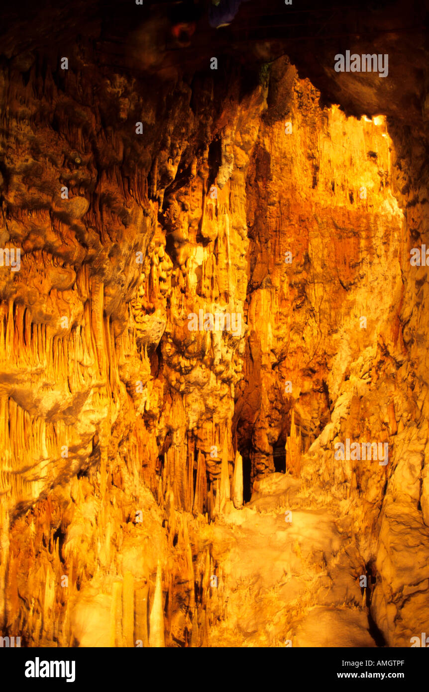 Italie, Vénétie, Frioul, Vénétie, Julisch Friaul, Sgonico, Grotta Gigante, grösste Höhle der Welt die Besucher erschlossen für Banque D'Images