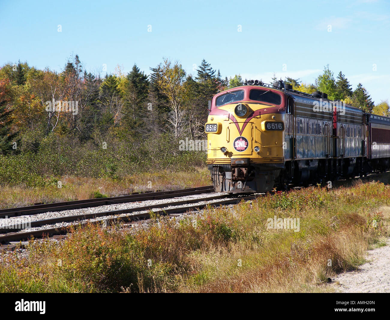 Un train de chemin de fer passant par d'une beauté naturelle qui l'entoure... Banque D'Images