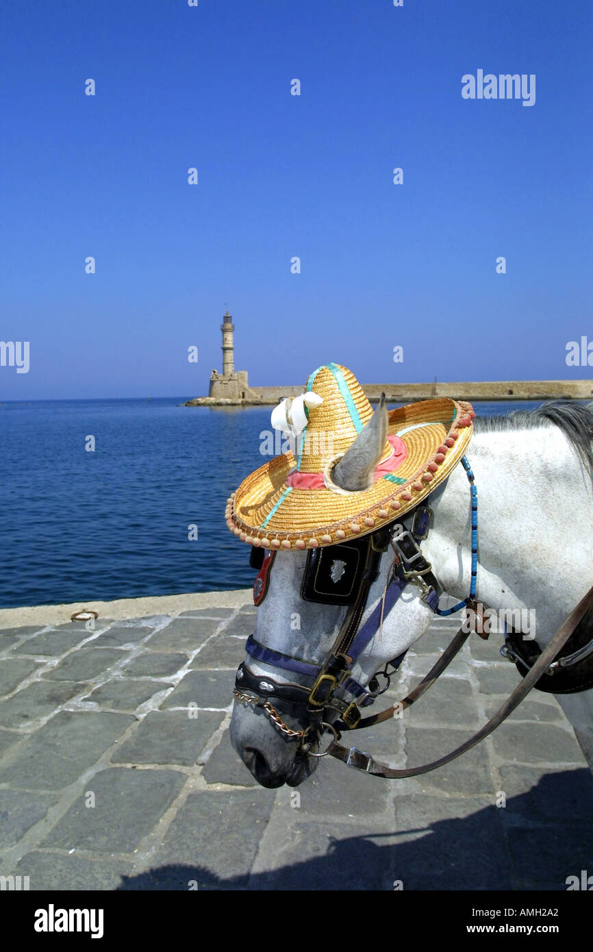 Âne avec silly hat à Chania Harbour Banque D'Images