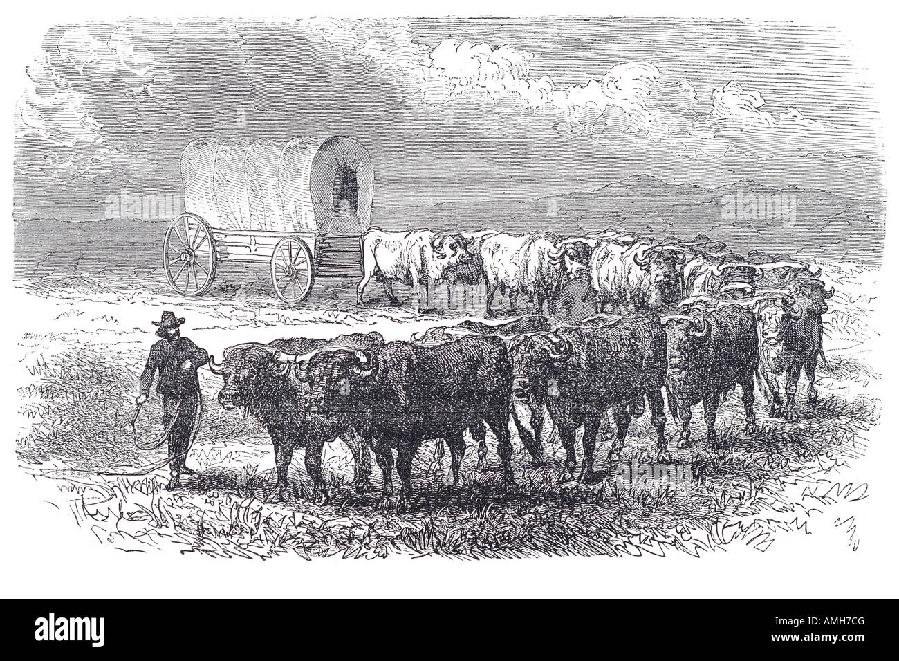 Prairie Schooner émigrant un chariot sur le Great Plains ox boeufs wagon couvert à pied sentier principal de l'immigration de colons s'installer voyage Banque D'Images