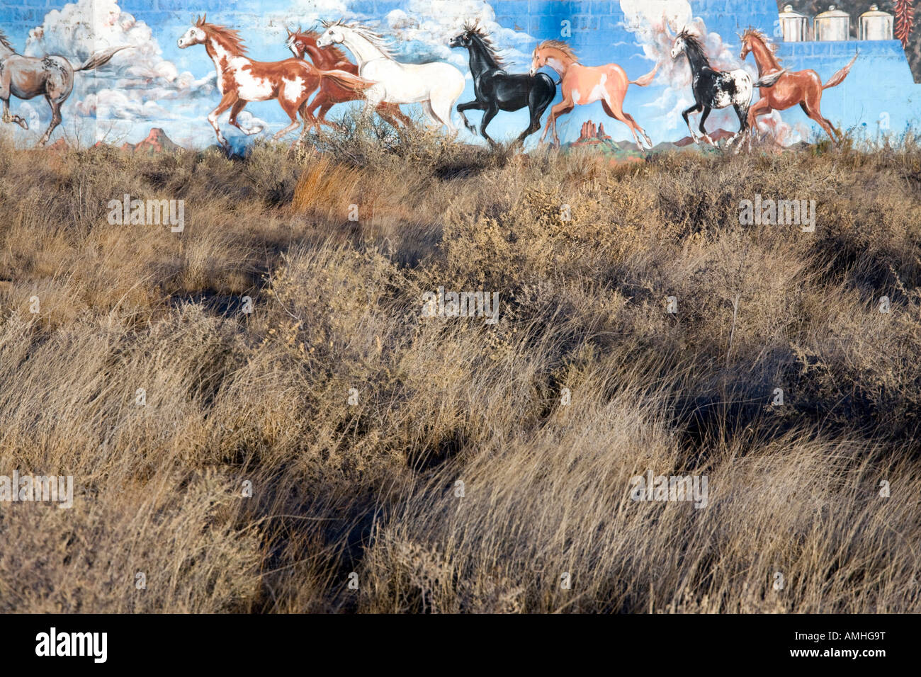 La peinture murale représentant des mustangs sauvages près d'Albuquerque au Nouveau Mexique Banque D'Images