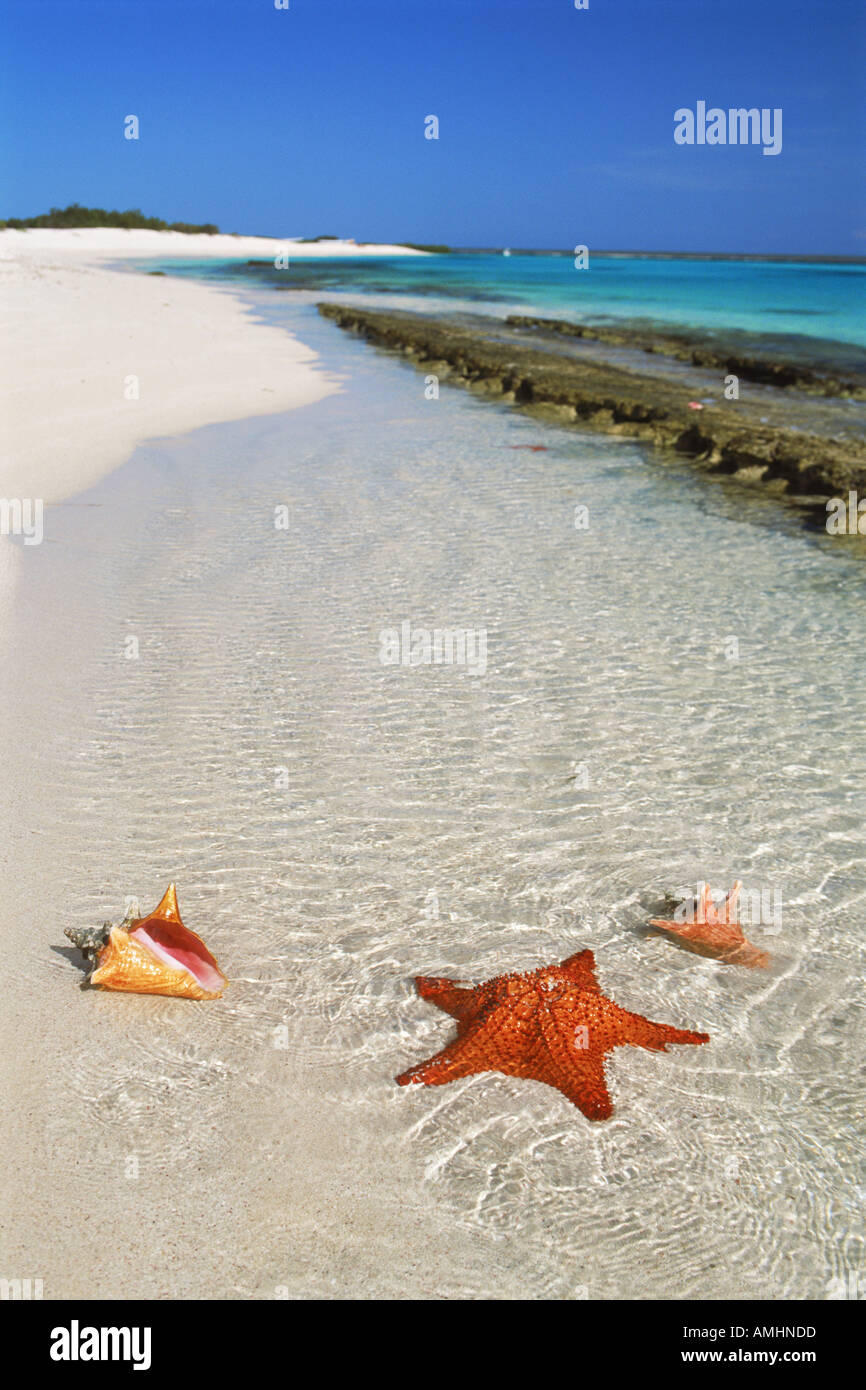 Agua simbolos Banque de photographies et d’images à haute résolution Alamy