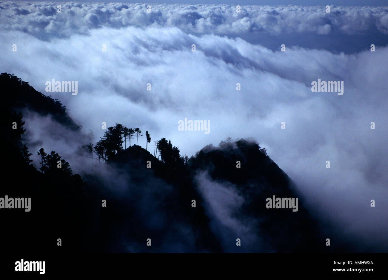 Portugal, Madère, Blick von Curral das Freiras auf die Südküste Banque D'Images
