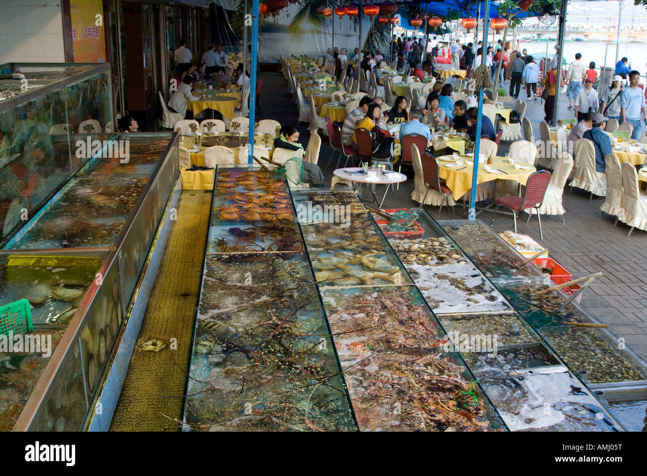 Vivent les poissons et les fruits de mer dans des réservoirs à un restaurant de fruits de mer chinois Sai Kung Hong Kong Banque D'Images