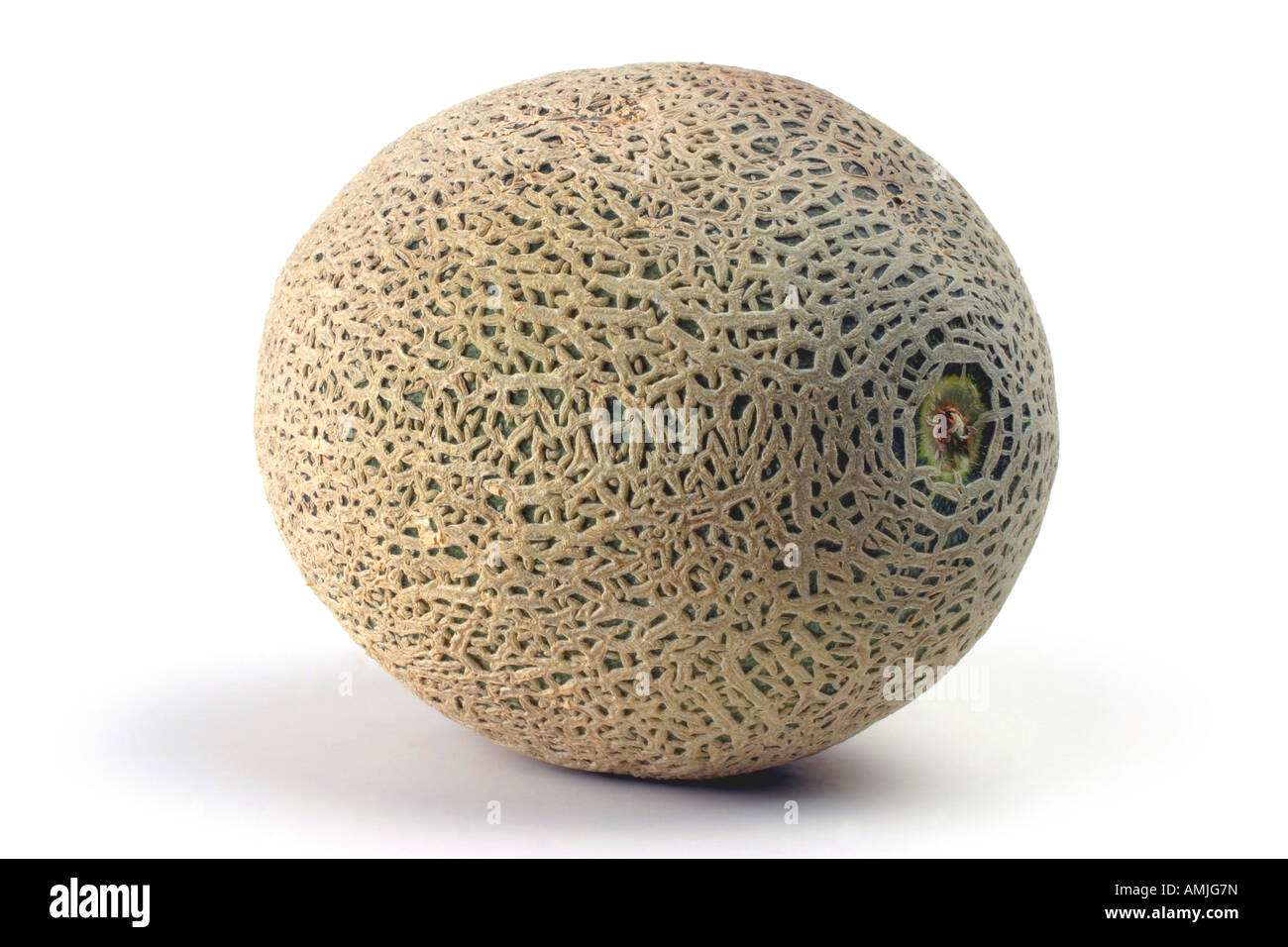 Melone cantaloup Cucumis melo cantalupensis var origine Honduras Banque D'Images