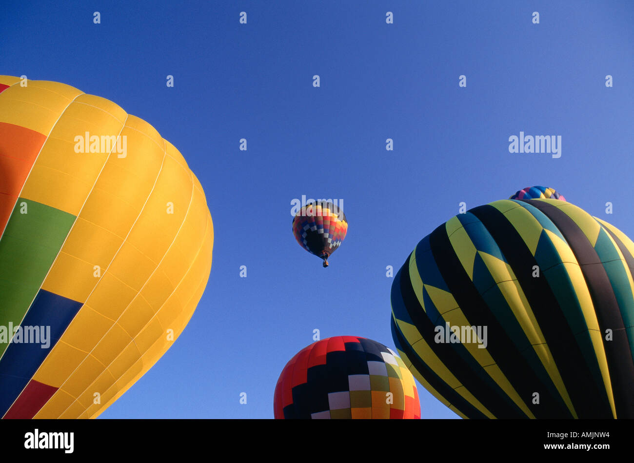 Hot Air Balloon, Tallahassee, Florida, USA Banque D'Images