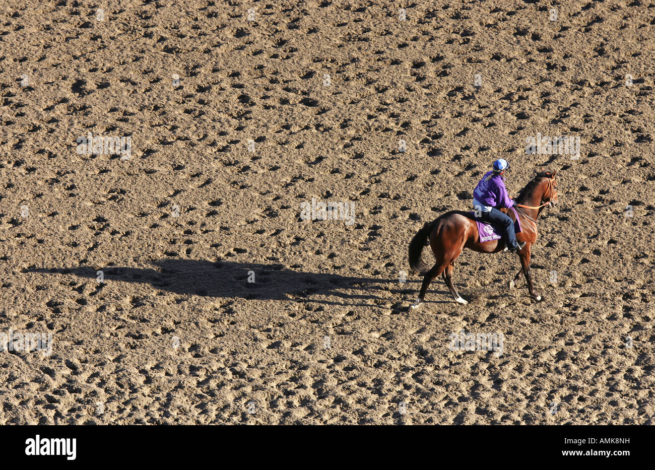 L'homme sur un cheval sur la piste de sable à Belmont Park Race Course, New York, USA Banque D'Images