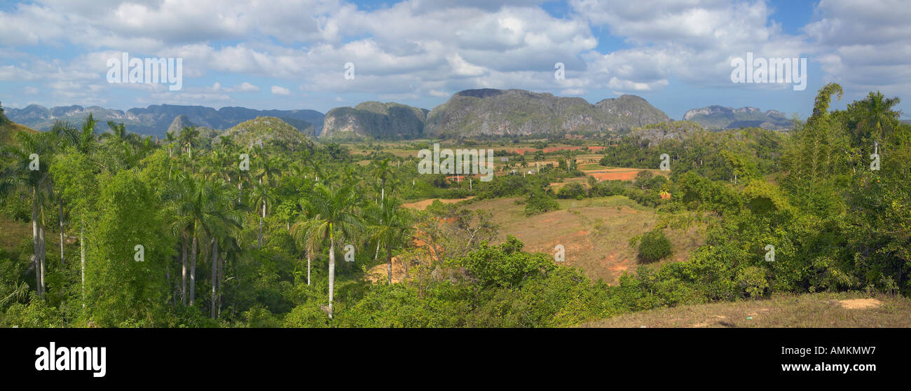 Scieries de vue sur la Valle de Vinales au centre de Cuba Banque D'Images