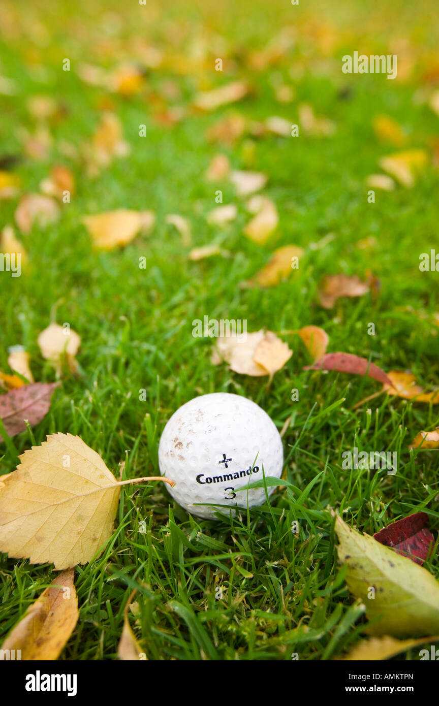 Une balle de golf dans le rough UK Banque D'Images