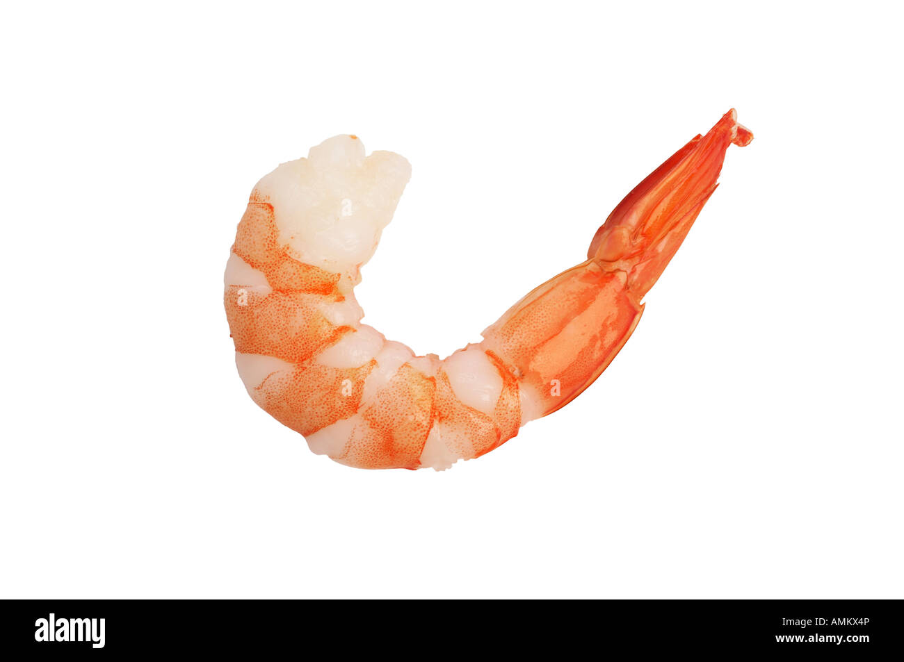 Ventilateur arrière aux crevettes Banque D'Images