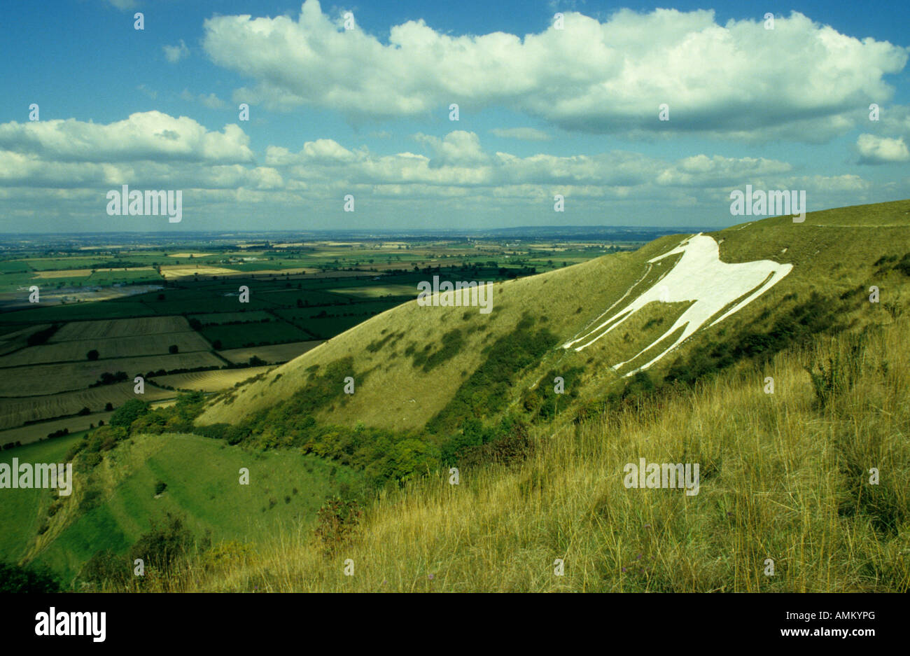 Westbury White Horse, Wiltshire, Royaume-Uni. Banque D'Images