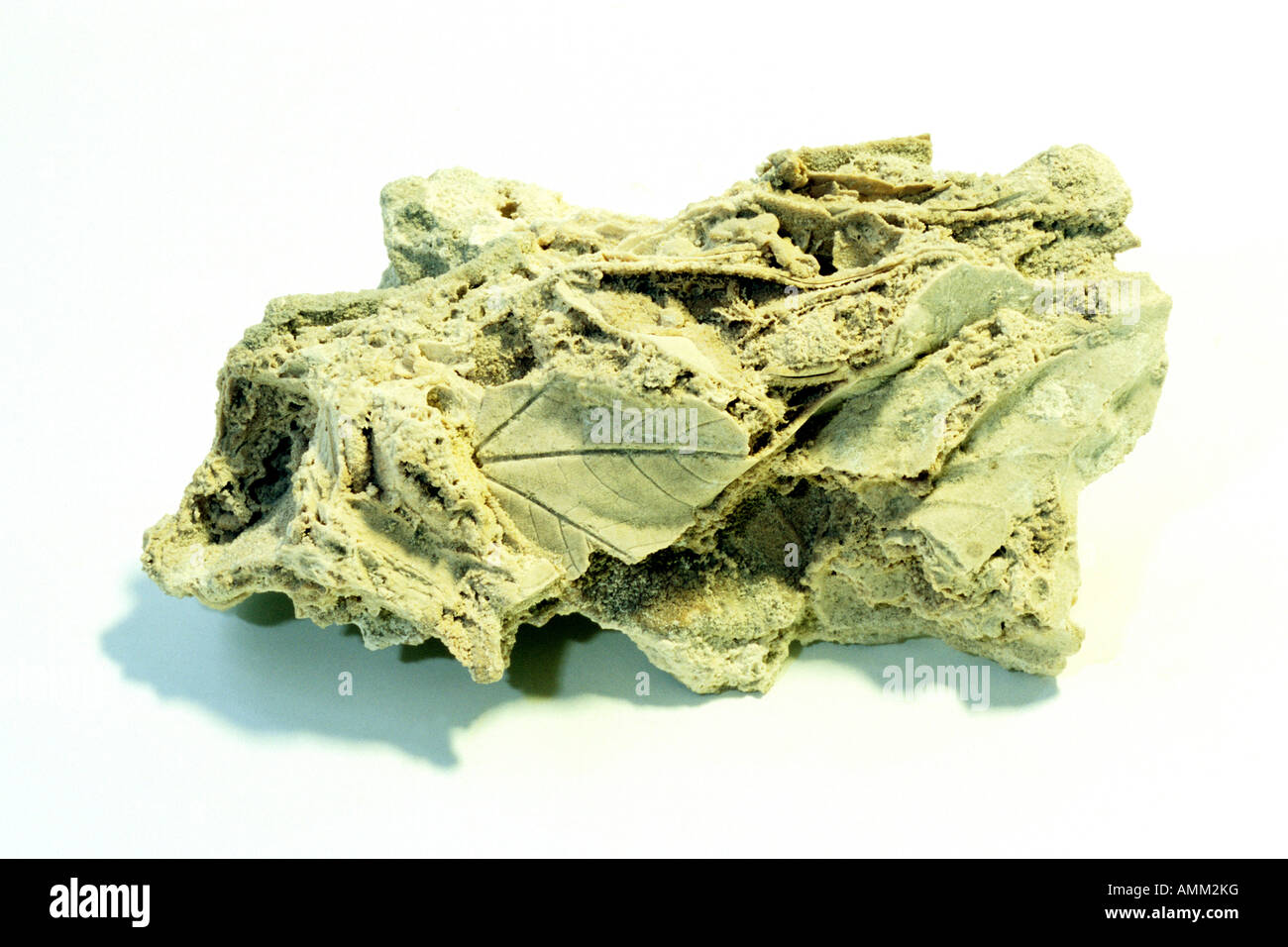 Tuff, studio photo Banque D'Images