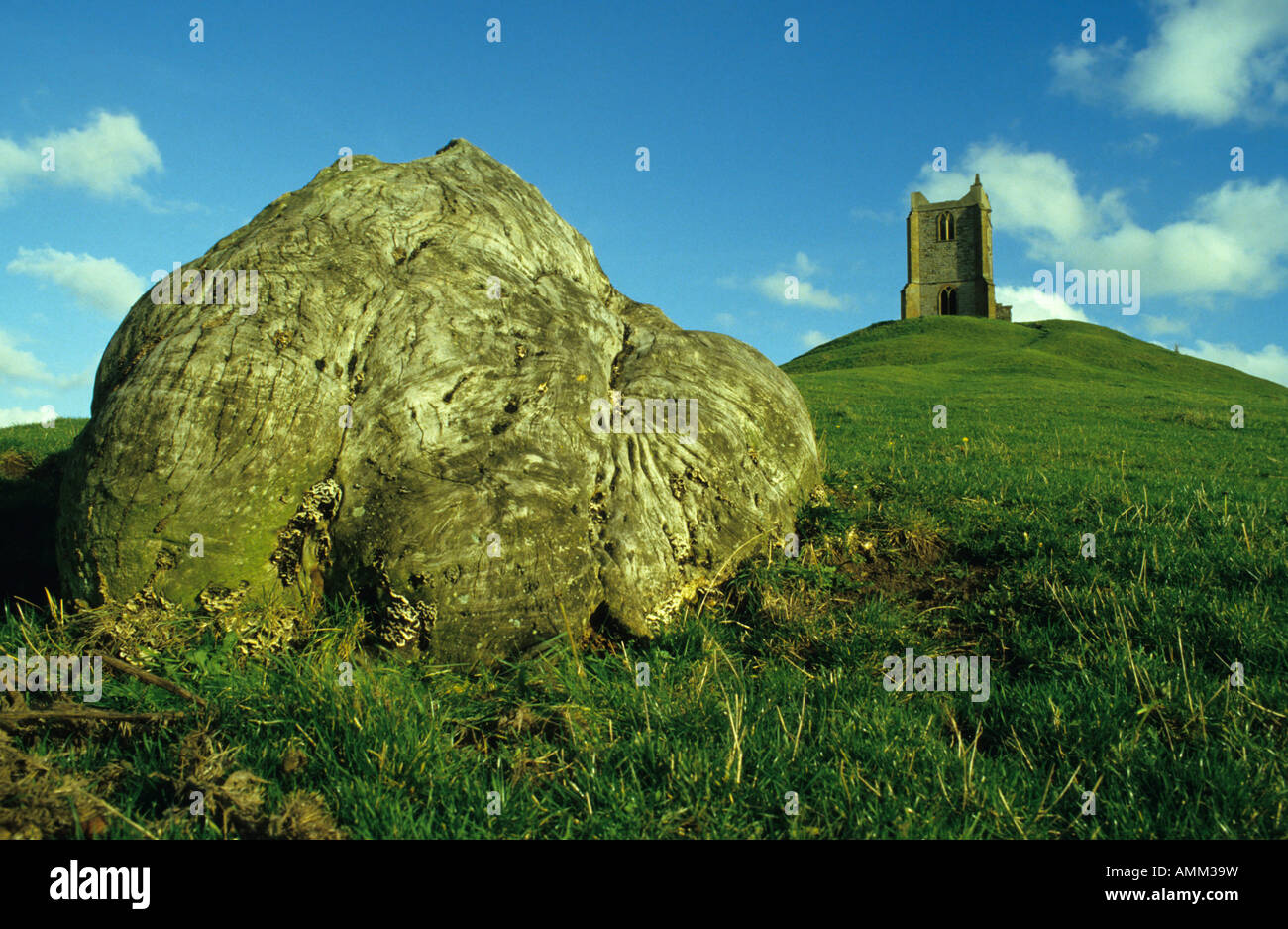 Burrow Mump (National Trust), Somerset, Royaume-Uni. Banque D'Images