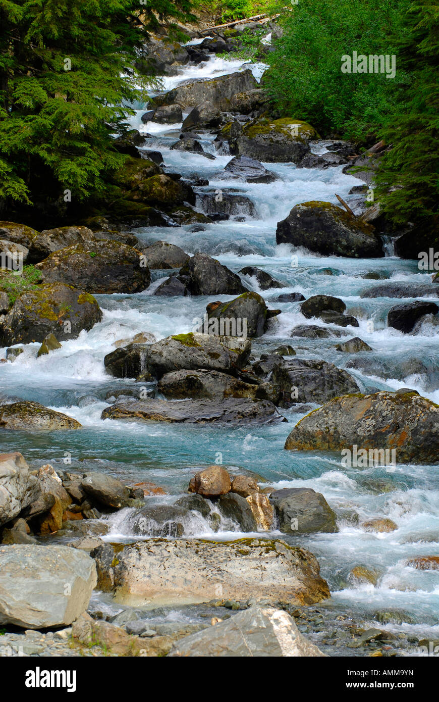 Rivière Salmon près de Glacier Salmon Hyder AK Alaska US États-Unis Stewart Colombie-Britannique BC Canada Banque D'Images