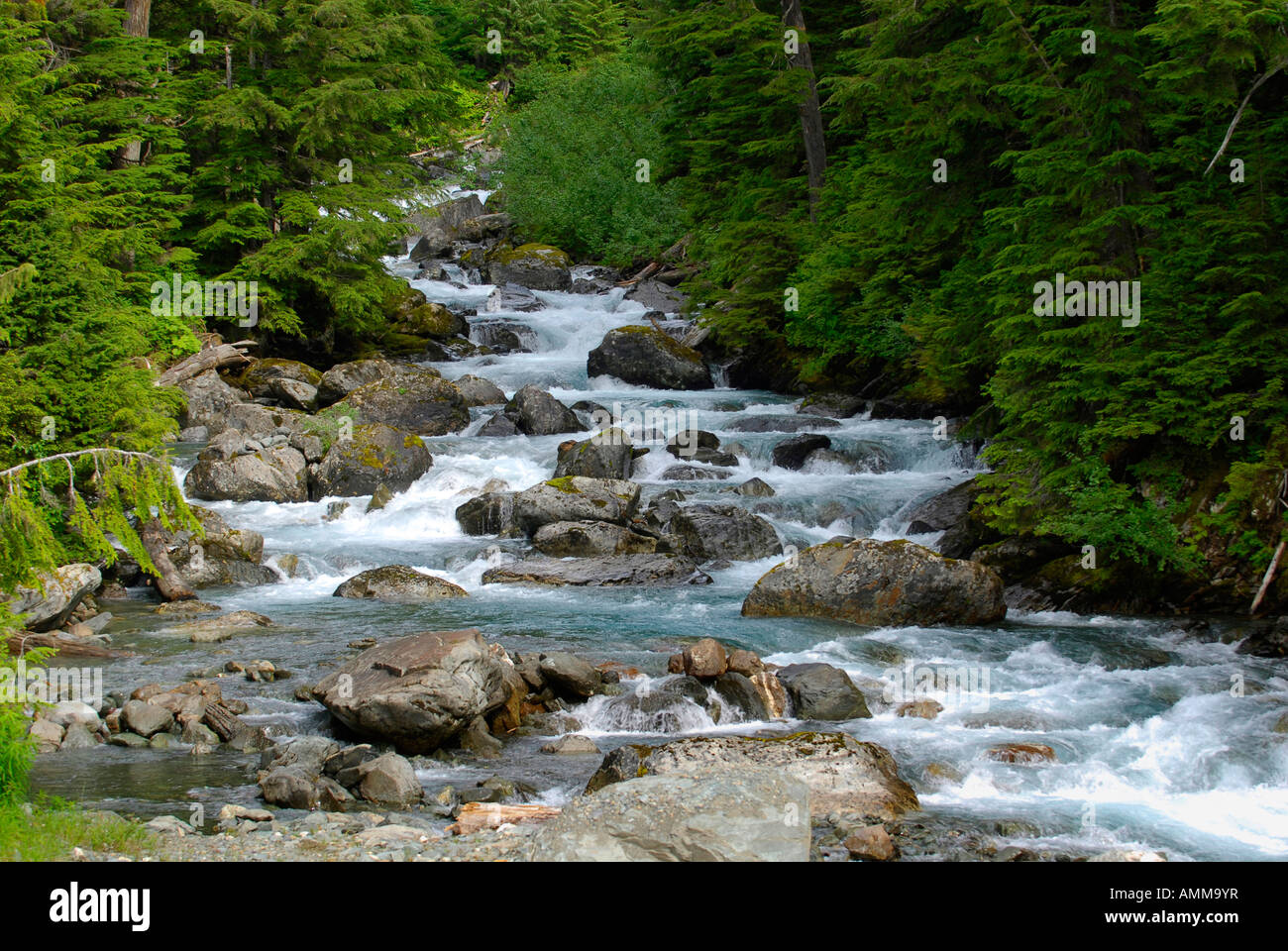 Rivière Salmon près de Glacier Salmon Hyder AK Alaska US États-Unis Stewart Colombie-Britannique BC Canada Banque D'Images