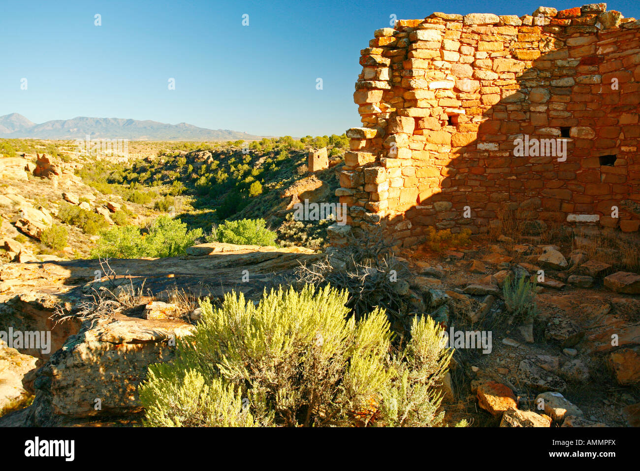 Tower Group, Hovenweep National Monument, Colorado Utah border Banque D'Images