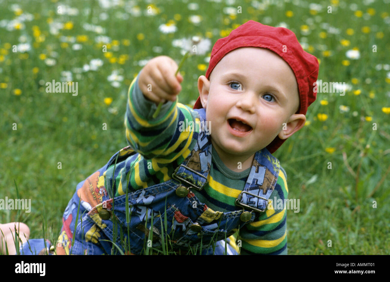 Boy (18-23 mois) de jouer dans le pré Banque D'Images