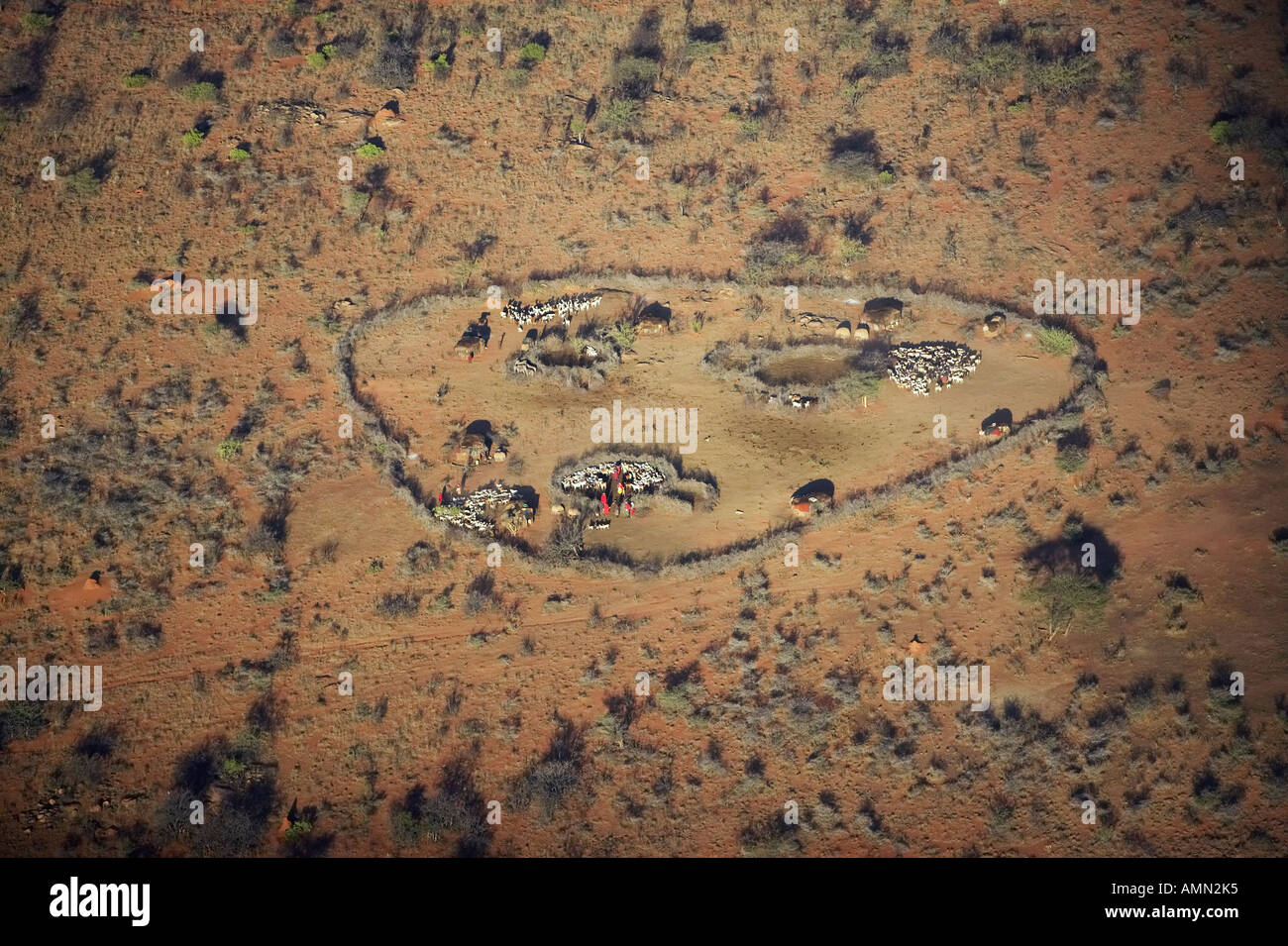 Vue aérienne de Masai village dans la nature et les troupeaux de chèvres du cercle près de Lewa Conservancy Kenya Afrique Banque D'Images