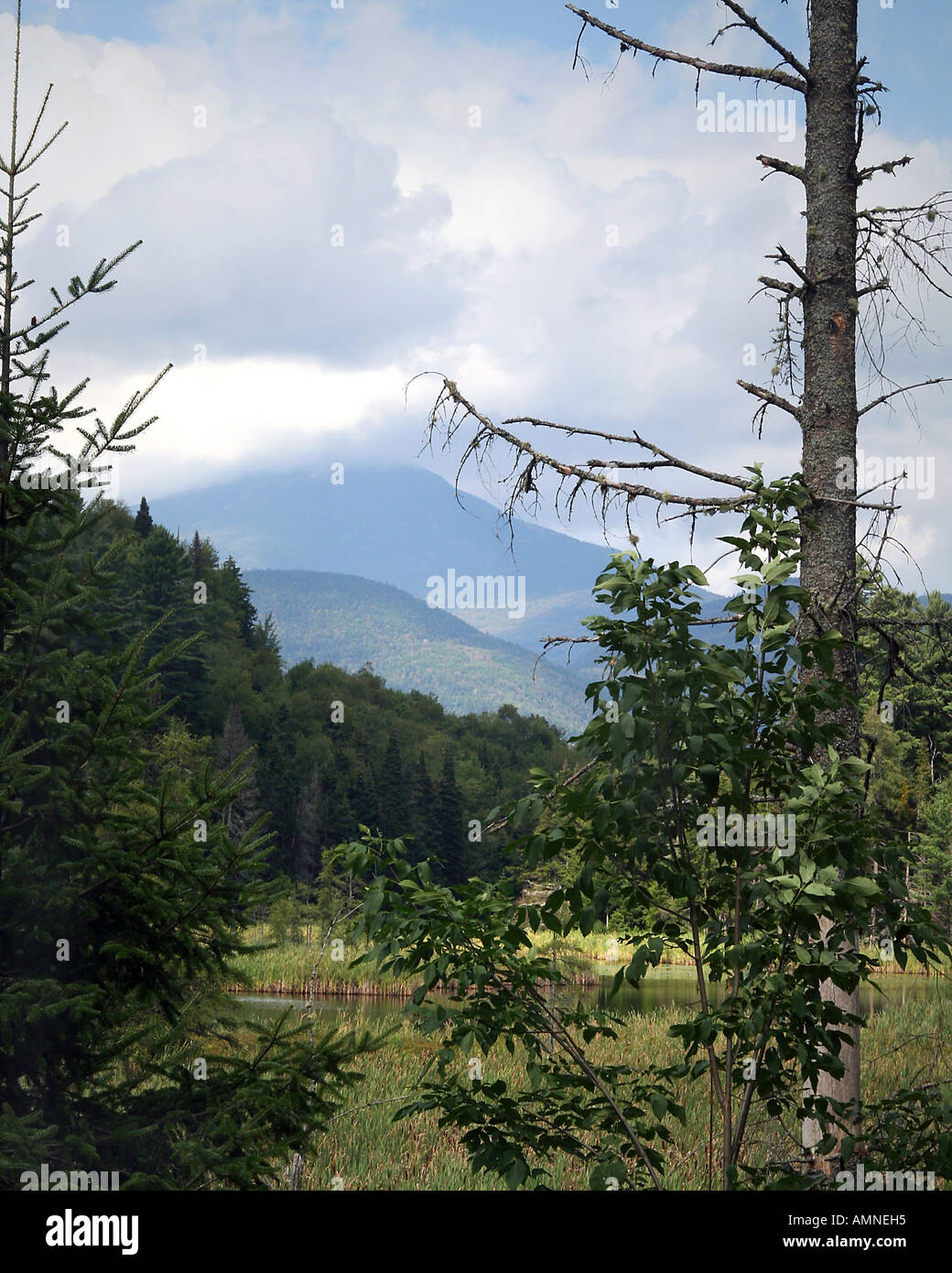 Whiteface Mountain dans le parc des Adirondack. Banque D'Images