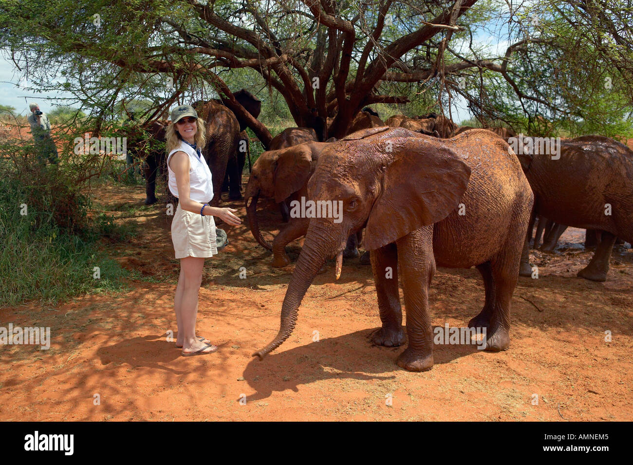 Woman smiling with bébé adopté l'éléphant au David Sheldrick Wildlife Trust dans le parc national de Tsavo Kenya Banque D'Images